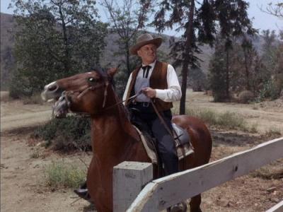 The Virginian