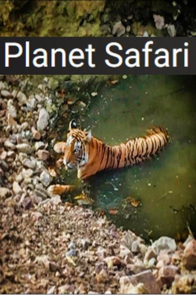 Planet Safari filmas online