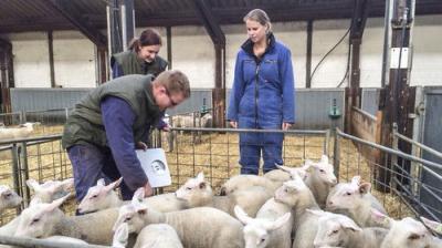 Boer zoekt Vrouw