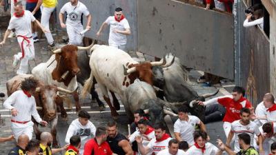 Vive San Fermín