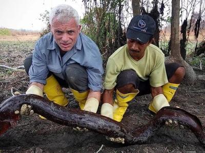 River Monsters