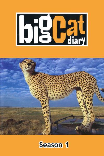 Big Cat Week filmas online