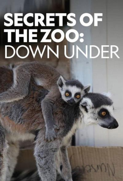 Secrets of the Zoo: Down Under filmas online