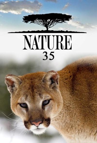 Nature filmas online