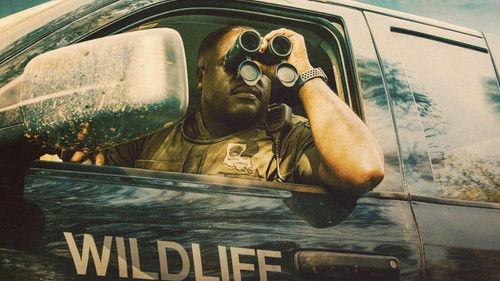 Louisiana Law filmas žiurėti online