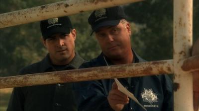 CSI: Kriminalistai