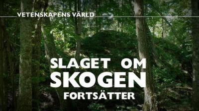 Vetenskapens värld