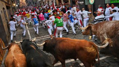 Vive San Fermín