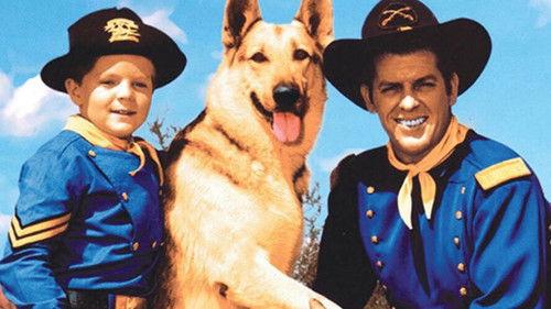 The Adventures of Rin Tin Tin filmas žiurėti online