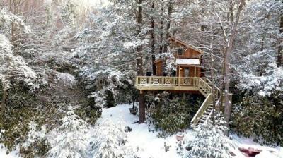 Treehouse Masters