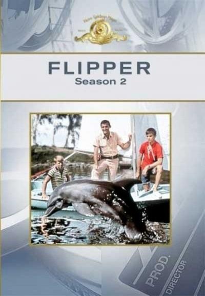 Flipper filmas online