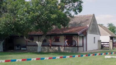 Močvara