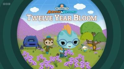 Octonauts: Above & Beyond