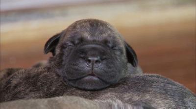 Too Cute