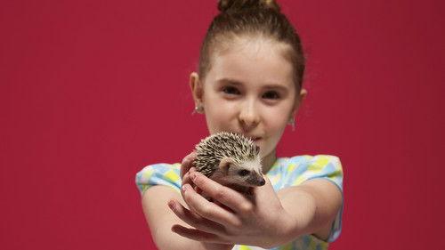 Fous des animaux filmas žiurėti online