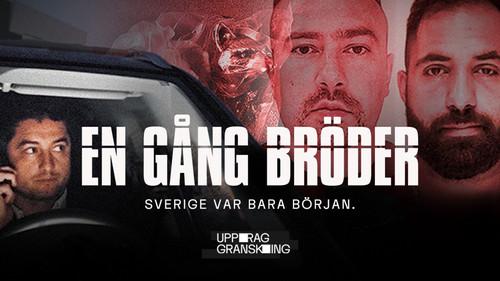 Uppdrag Granskning : En gång bröder filmas žiurėti online