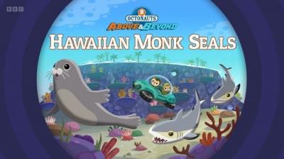 Octonauts: Above & Beyond