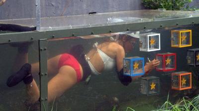 I'm a Celebrity...Get Me Out of Here!