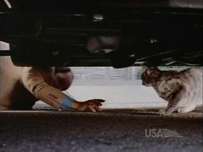 Nash Bridges