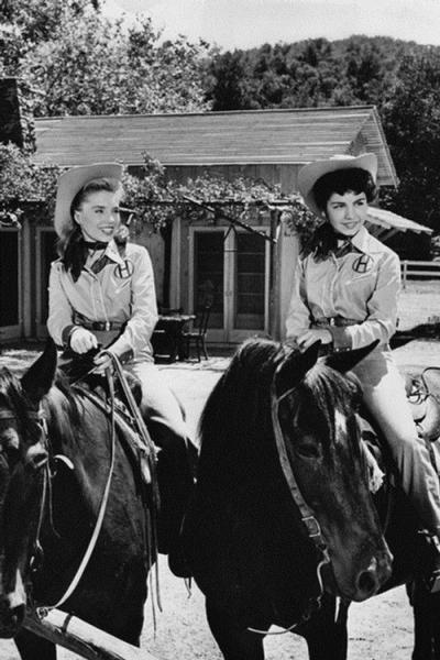The New Adventures of Spin and Marty filmas online
