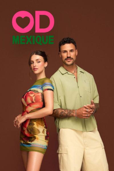 Occupation Double filmas online