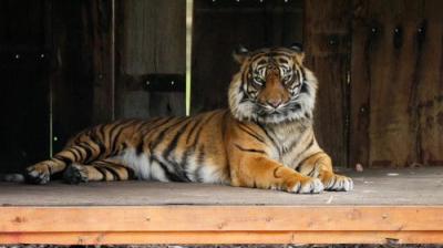 Taronga: Who's Who In The Zoo