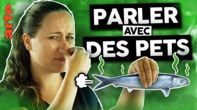 Le Vortex