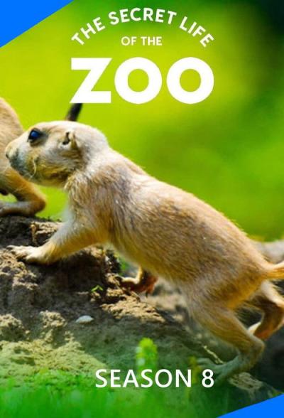 The Secret Life of the Zoo filmas online