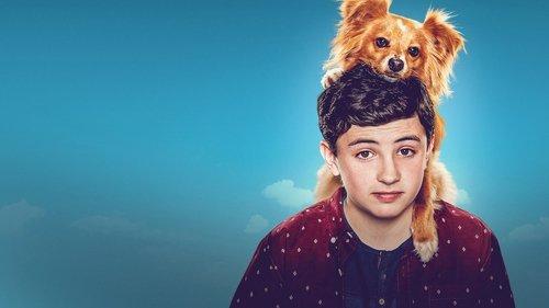 The Healing Powers of Dude filmas žiurėti online