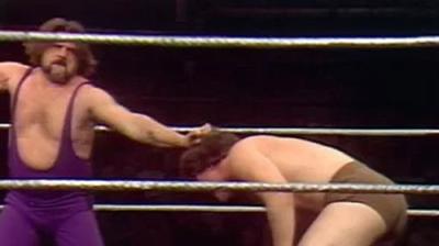 WWF All-Star Wrestling