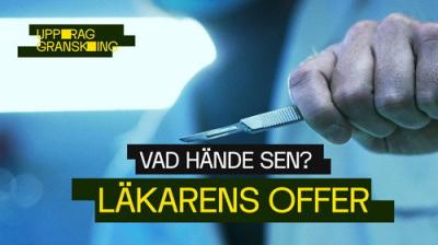 Uppdrag granskning sommar