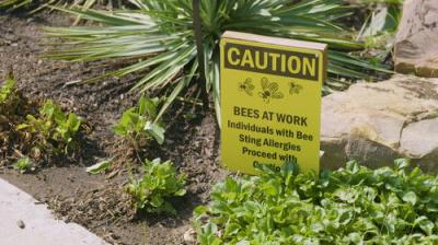 Oklahoma Gardening