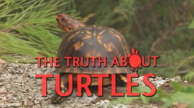 Marty Stouffer's Wild America