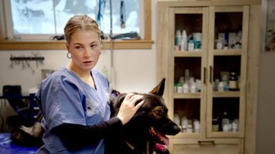 Dr. Oakley, Yukon Vet