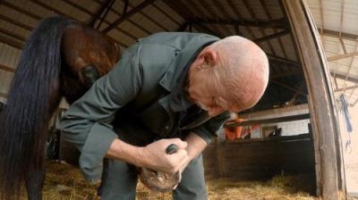 The Incredible Dr. Pol