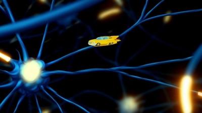 The Magic School Bus Rides Again