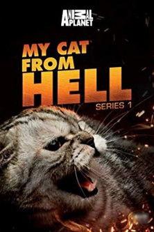 My Cat from Hell filmas online