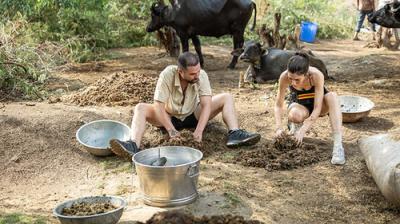 The Amazing Race Australia