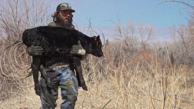 Mountain Men