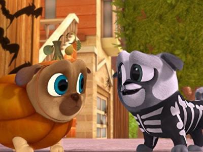 Puppy Dog Pals