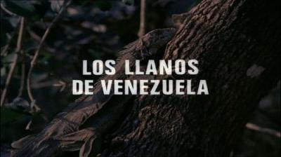 El hombre y la Tierra