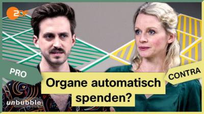 13 Fragen