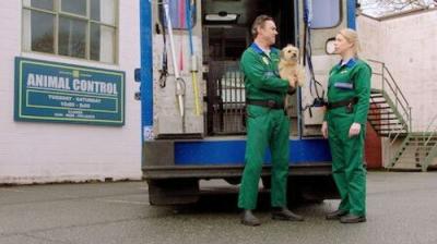 Pup Academy