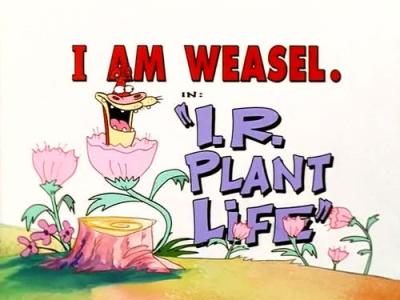 I Am Weasel
