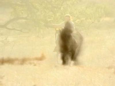 Dr. Quinn, Medicine Woman