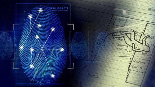 Wahre Verbrechen – Suche nach Gerechtigkeit filmas žiurėti online