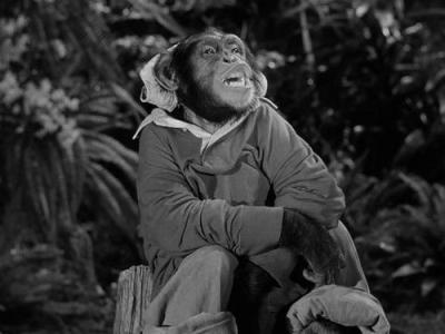 Gilligan's Island