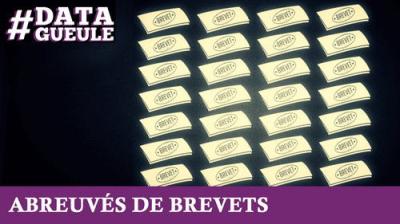 Data Gueule