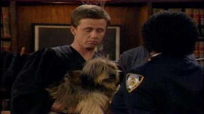 Night Court