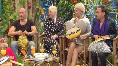 Ich bin ein Star – Holt mich hier raus! Die Stunde danach